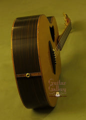 McPherson Guitar: Macassar Ebony MG 4.5