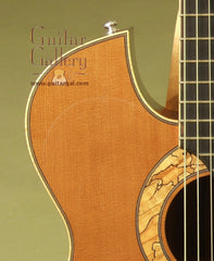 Doolin Guitar: Used Madagascar Rosewood OM