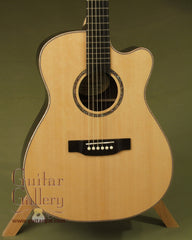 Langejans guitar with wedge