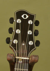 Olson Guitar: Indian Rosewood SJ