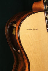 Tom Bills Guitar: Brazilian Rosewood Genesis