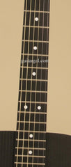 Rainsong Graphite Guitar: S-DR1000NR