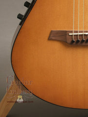 Veillette Guitar: Used Mahogany Terz