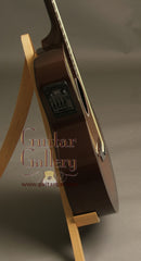 Rainsong Graphite Guitars: Vintage Burst APLE (Al Petteway Sig Model)