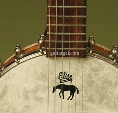 Lame Horse Instruments Guitar: Fiberskyn top Gitjo