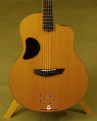 McPherson Guitar: Macassar Ebony MG 4.5