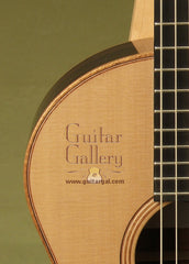 Lowden Guitars Guitar: Indian Rosewood The WEE