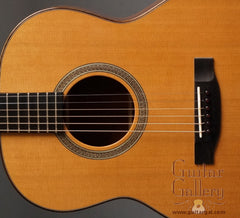 Rein Guitar: Used Plum Pudding Mahogany RJN-5