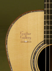 Huss & Dalton FS guitar