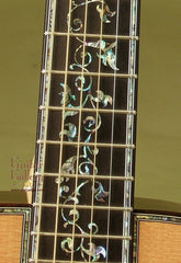 Olson Guitar: Brazilian Rosewood Museum SJ