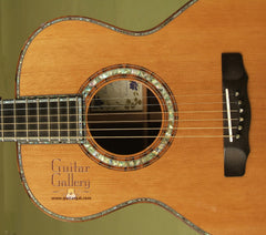 Olson Guitar: Brazilian Rosewood SJ