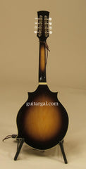Alden Mandolin Family: Vintage Sunburst Gibson Replica Mandola