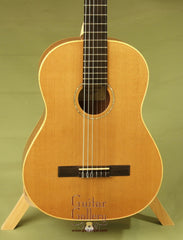 Langejans MC-6 guitar