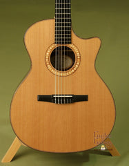 Taylor Guitar: Indian Rosewood NS74ce