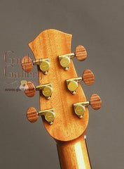 Petros Guitar: Used Indian Rosewood Baritone