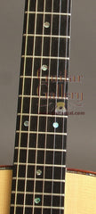 Petros Guitar: Used AppleCreek D