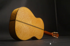 Radicic Classical Guitar glam shot back