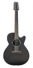 Rainsong CO-WS3000 12 String guitar