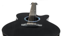 RainSong 12 string guitar