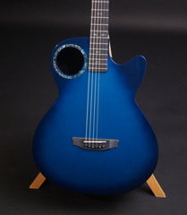 Rainsong CO-WS1005NSM guitar