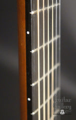 Rein RJN-3 guitar side dots