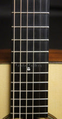 Rein RJN-3 guitar fretboard