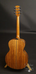 Rein RJN-3 guitar Honduran rosewood back full