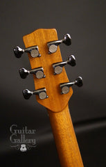 Rein RJN-3 guitar headstock back