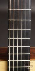 Rein R1 Guitar