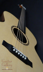 Rein R1 Guitar