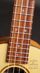 Thomas Rein Ukulele fretboard