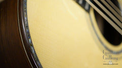 Ryan MGC Brazilian rosewood guitar detail