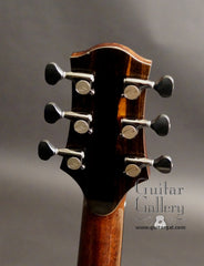 Ryan guitar headstock back