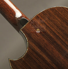 Ryan Nightingale Soloist guitar