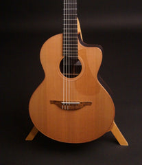 Lowden S25J guitar