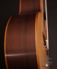 Lowden S35J guitar side detail