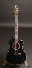 Santa Cruz H A/E Guitar