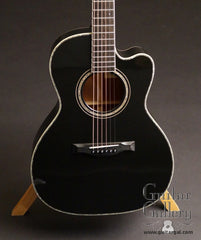 Santa Cruz H A/E Guitar