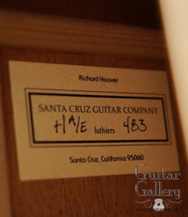 Santa Cruz H A/E Guitar