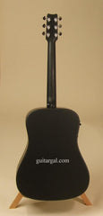 Rainsong Graphite Guitar: S-DR1000NR