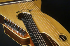 Sedgwick Harp guitar at Guitar Gallery