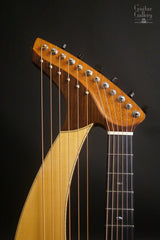 Sedgwick Harp guitar headstock