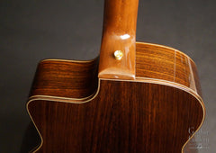 Shelley D Park modele Elan 12 guitar back detail