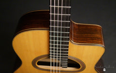 Shelley D Park modele Elan 12 guitar detail