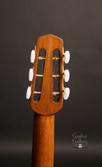 Shelley D Park modele Elan 12 guitar headstock back