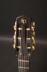 Shelley D Park guitar headstock