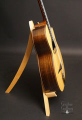 Shelley D Park modele Elan 12 guitar side