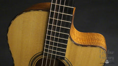 Schoenberg guitar for sale
