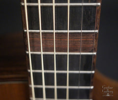 Skytop guitar fretboard