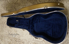 Skytop guitar inside case
